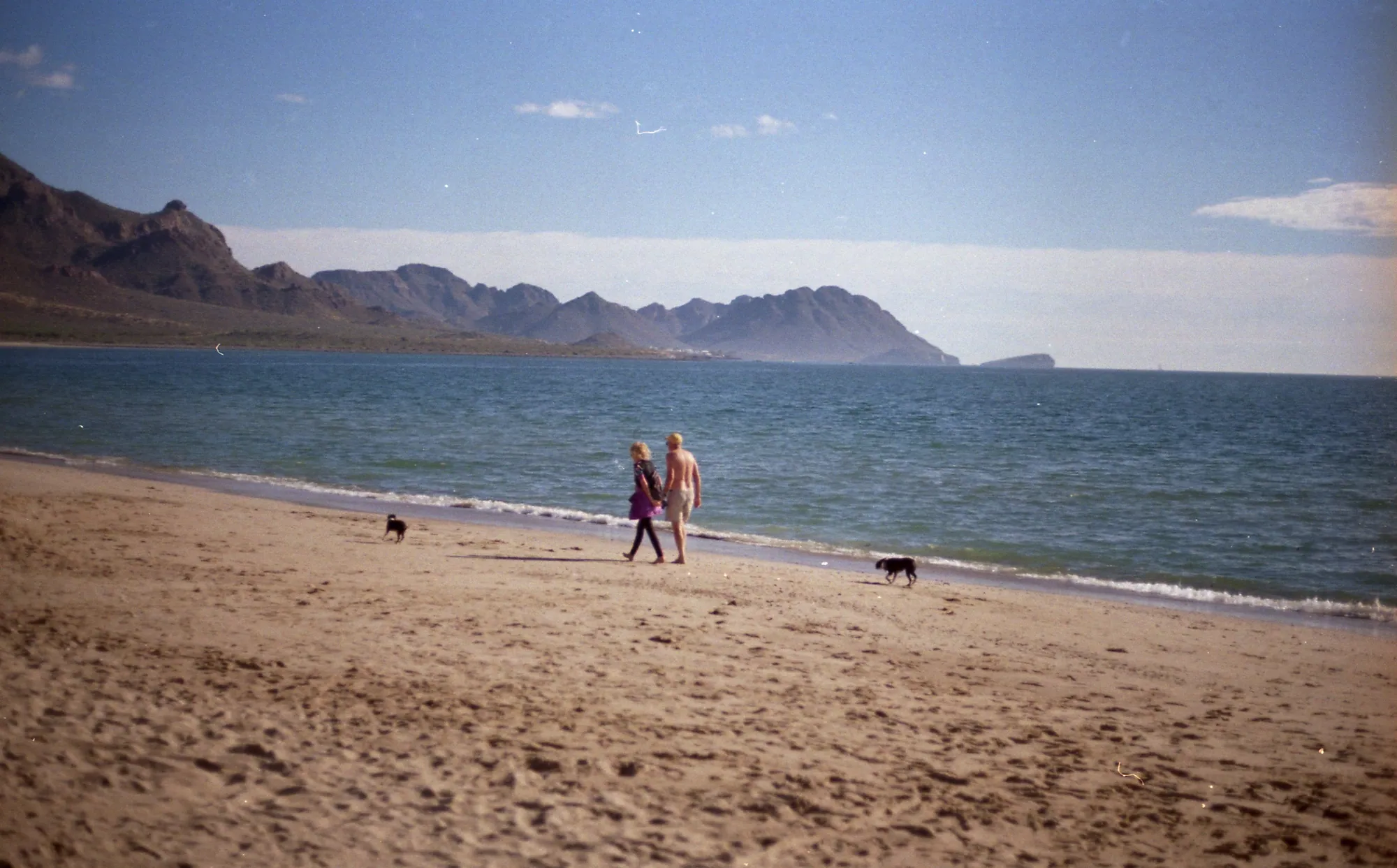 Two people and two dogs crossing a broad beach.