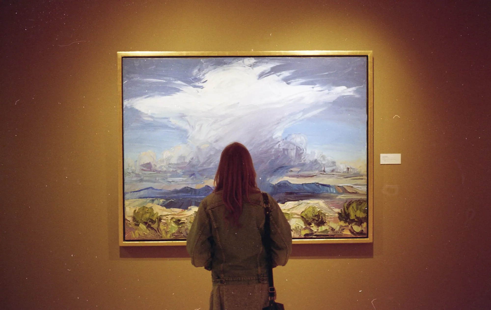 A museum visitor standing before a large painting.
